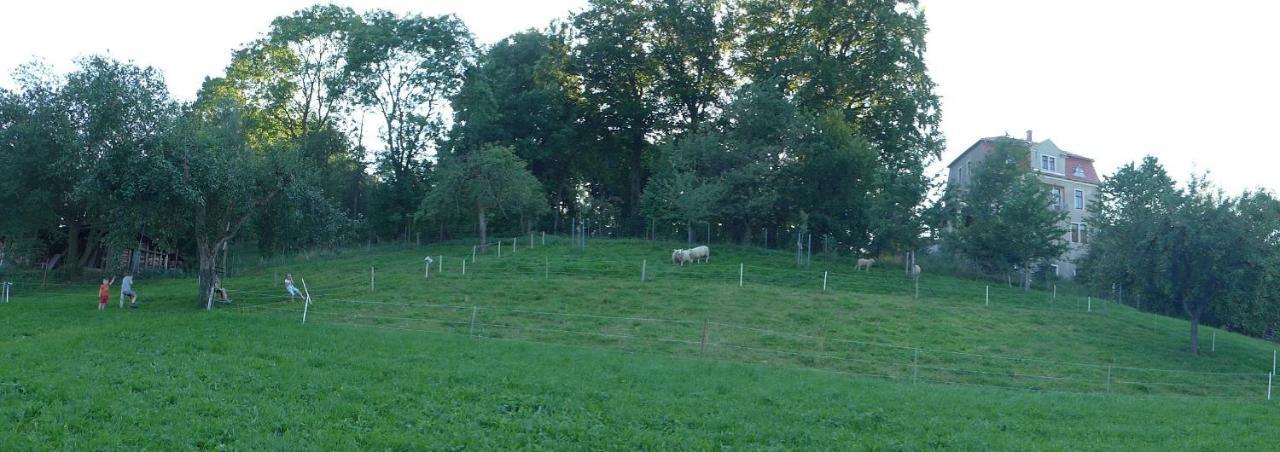 Ferienwohnung Aus-Zeit Auf Dem Lande Bad Gottleuba-Berggiesshuebel Ngoại thất bức ảnh
